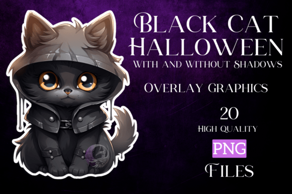Download Black Cat Halloween - Cat Collection
