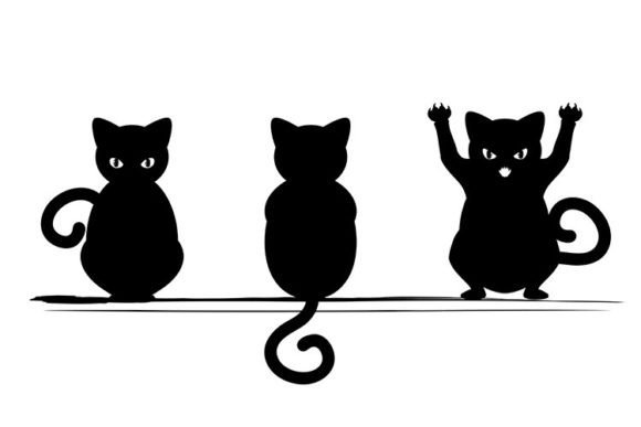 Download Black Cat Silhouette - Cat Collection