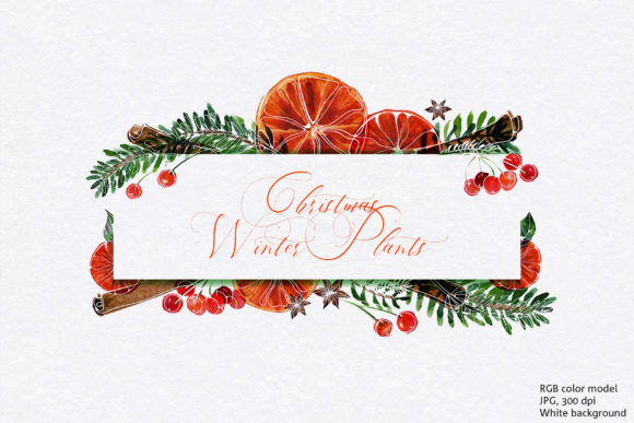 Download Christmas Winter Plants - Premium Resources